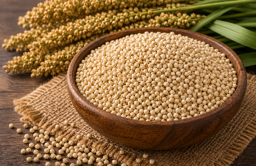 SORGHUM (JUWAR)